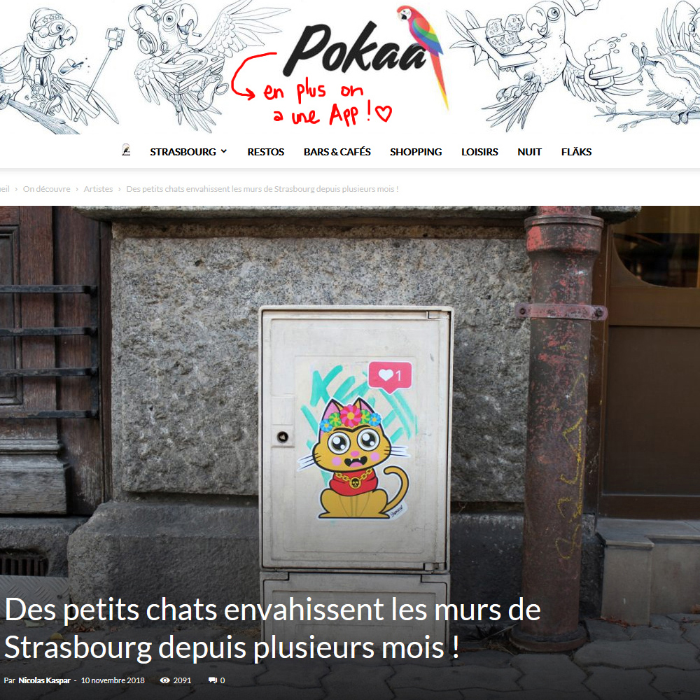 Interview de Supacat par Pokaa - Supacat Street Art