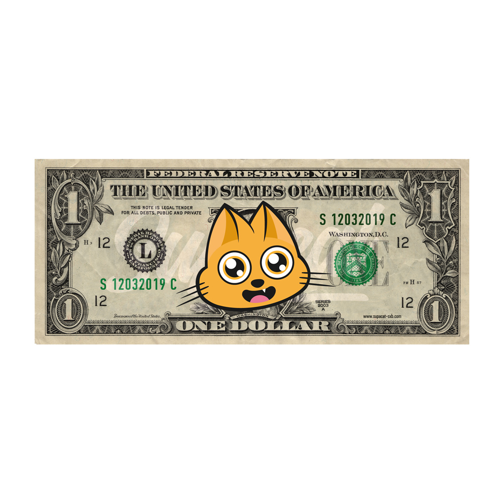 Supacat Street Art Strasbourg - Supa Dollar #2