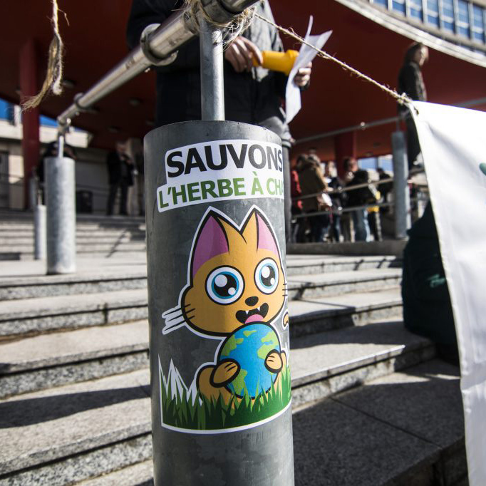 Supacat Street Art Strasbourg - Sauvons l'herbe à chat