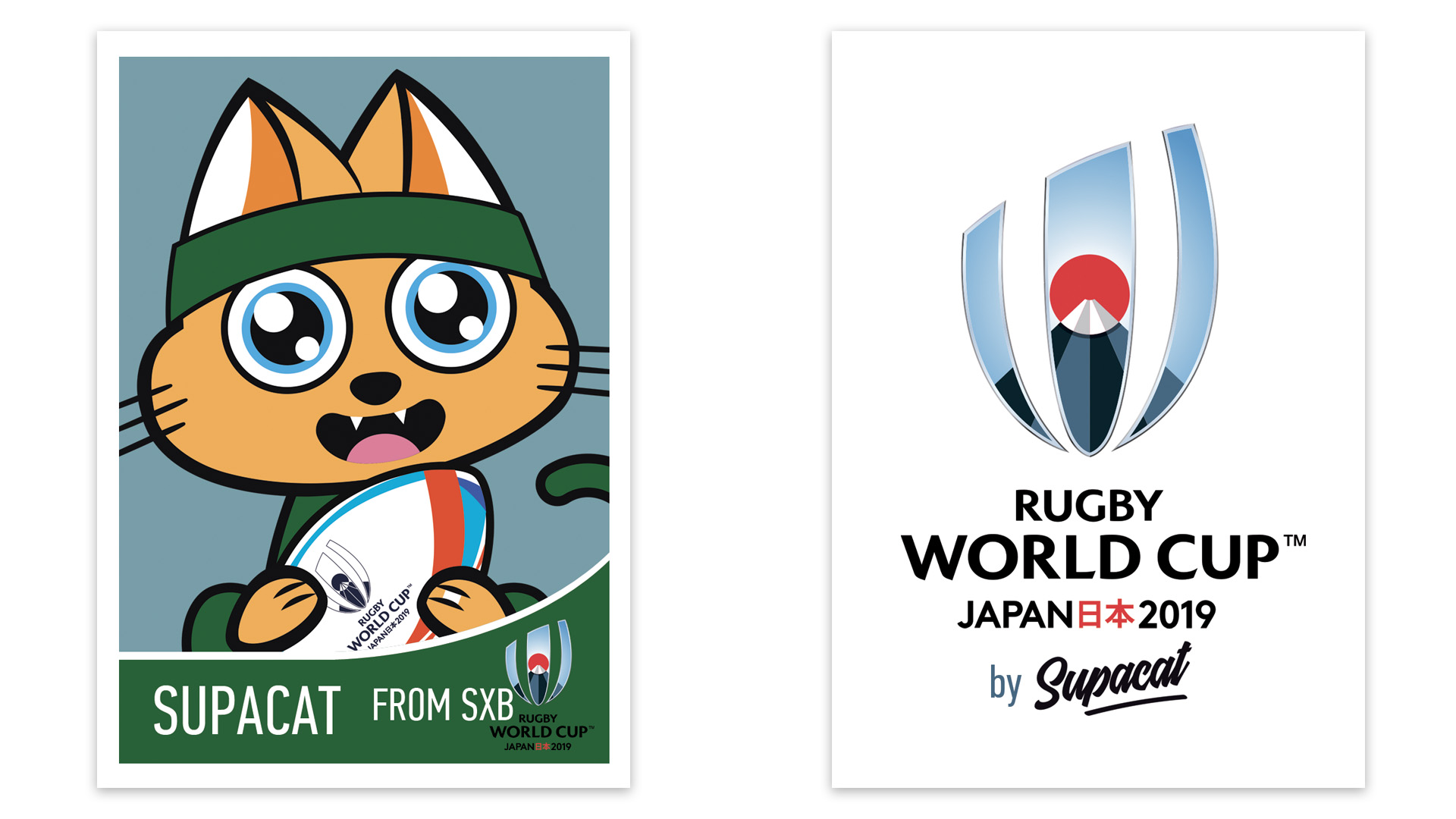 Supacat street art - Supa Rugby Cat from South Africa