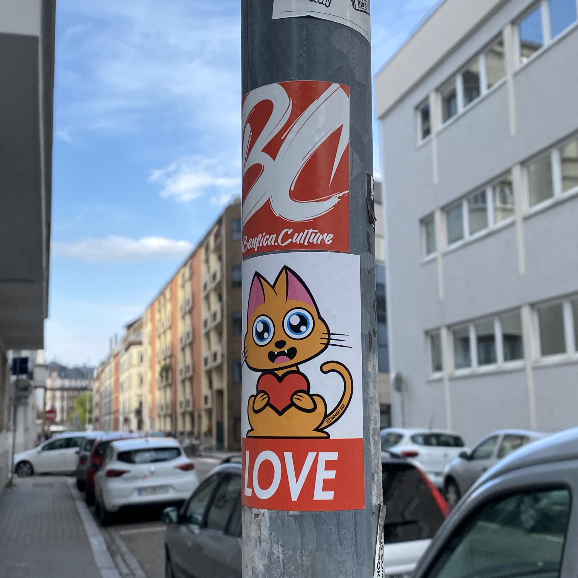 Supacat Street Art Strasbourg - Stickers Supacat