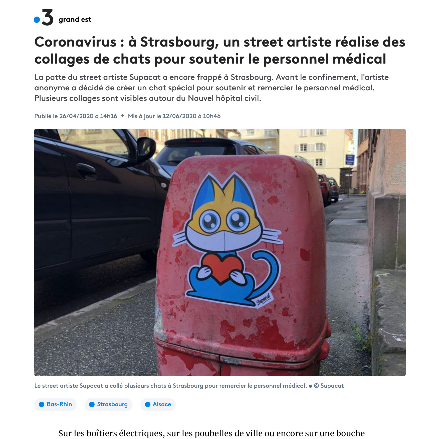 Coronavirus : à Strasbourg, un street artiste réalise des collages de chats pour soutenir le personnel médical