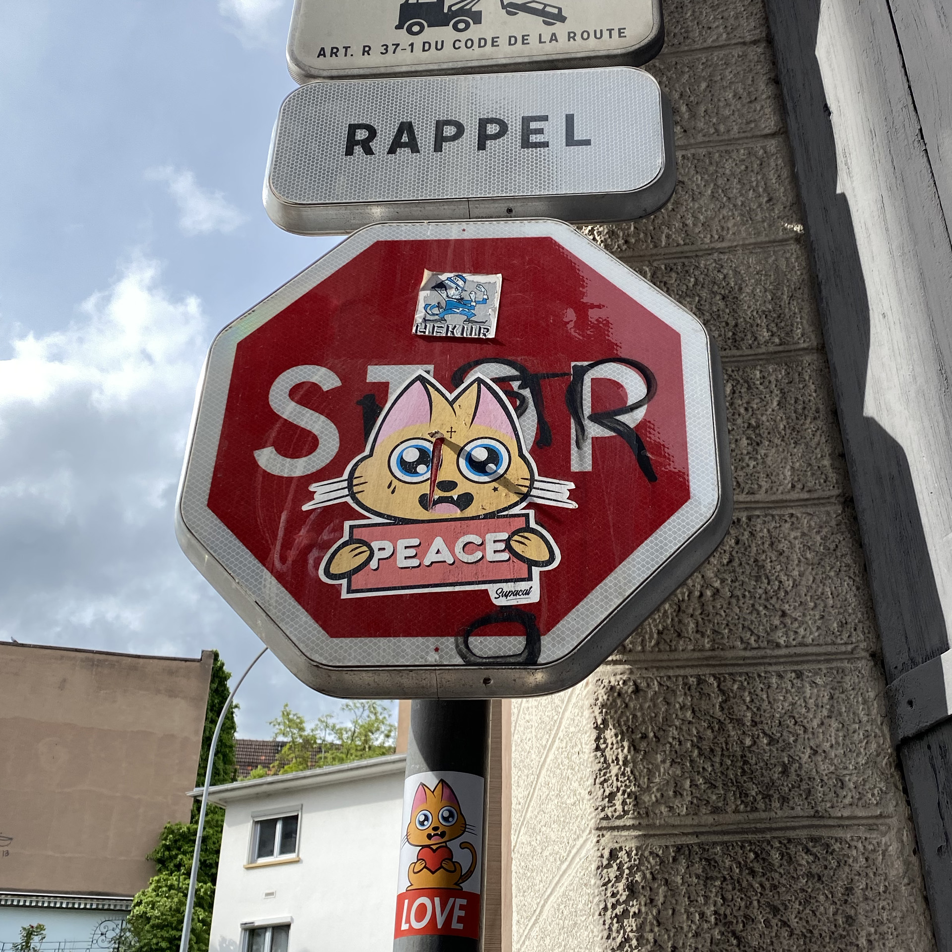 Supacat Street Art Strasbourg - Stickers Supacat