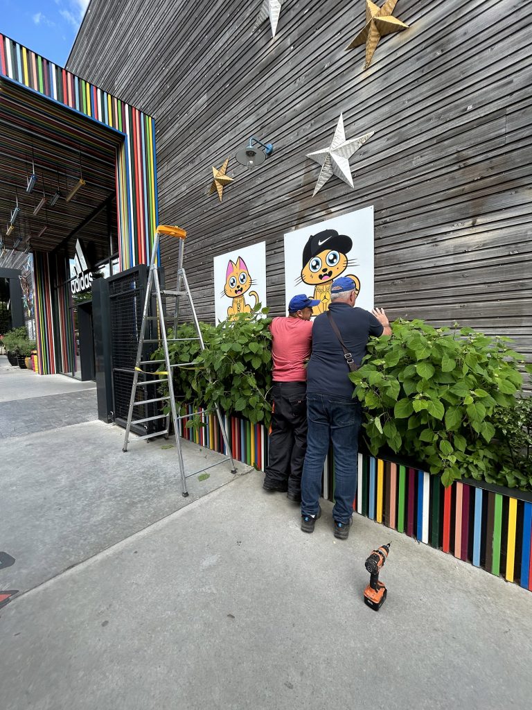 Exposition de Supacat Street Art à Shopping Promenade - Supacat Street Art Strasbourg
