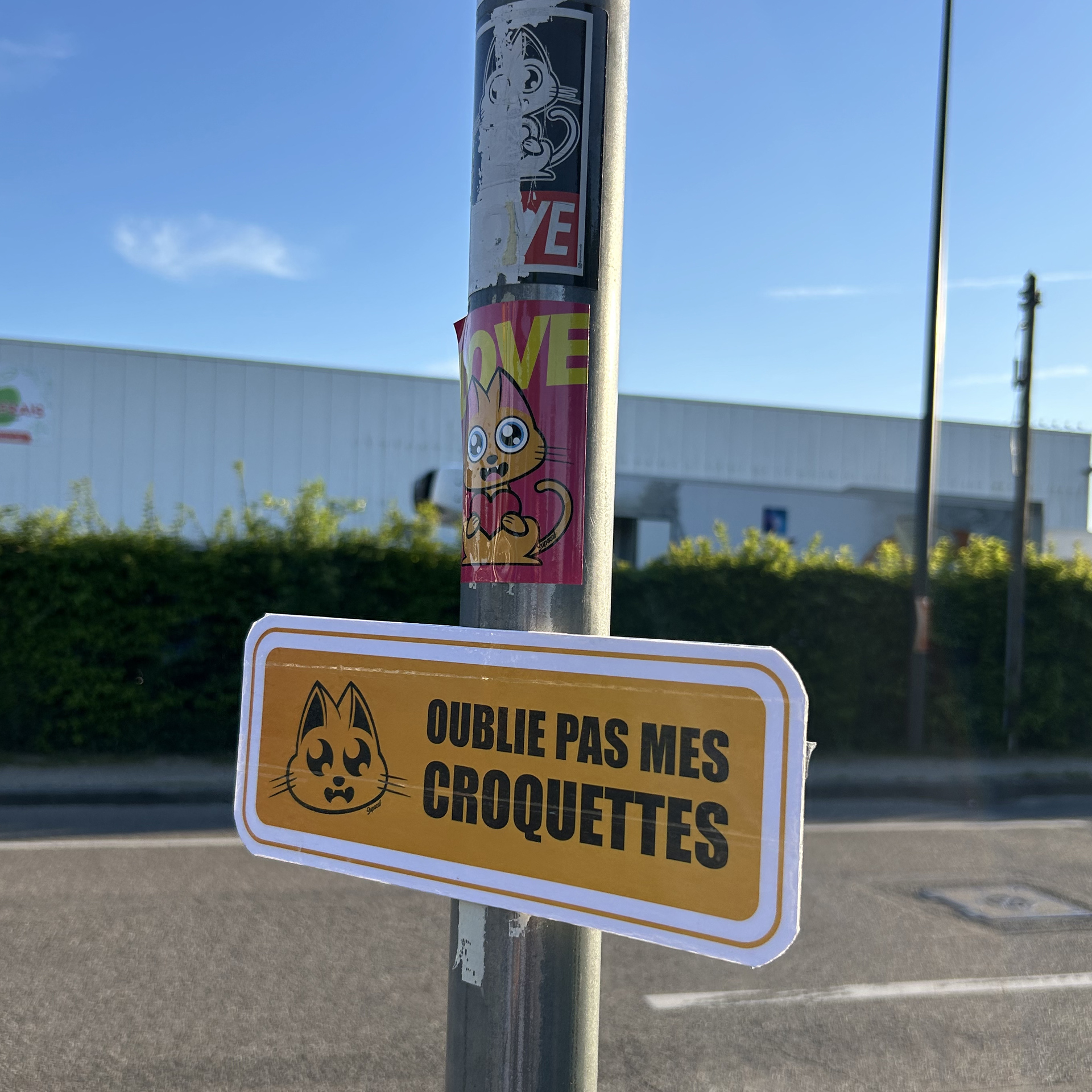 Panneau Supacat à Strasbourg - Supacat Street Art Strasbourg