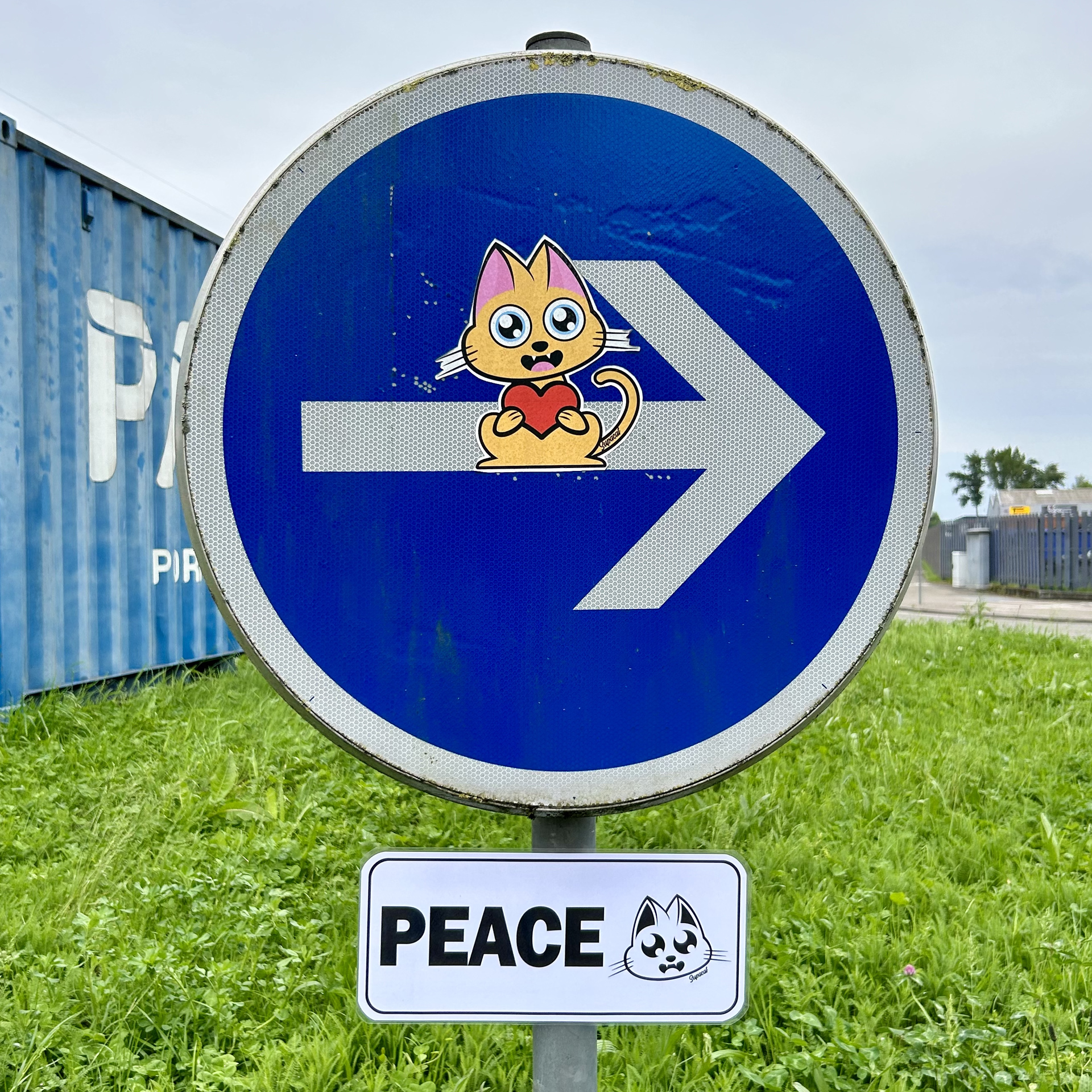 Panneau PEACE Supacat - Supacat Street Art Strasbourg