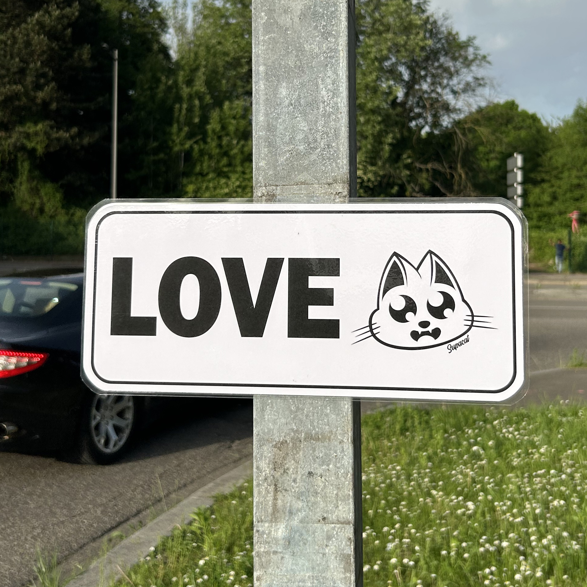 Panneau LOVE Supacat à Strasbourg - Supacat Street Art Strasbourg