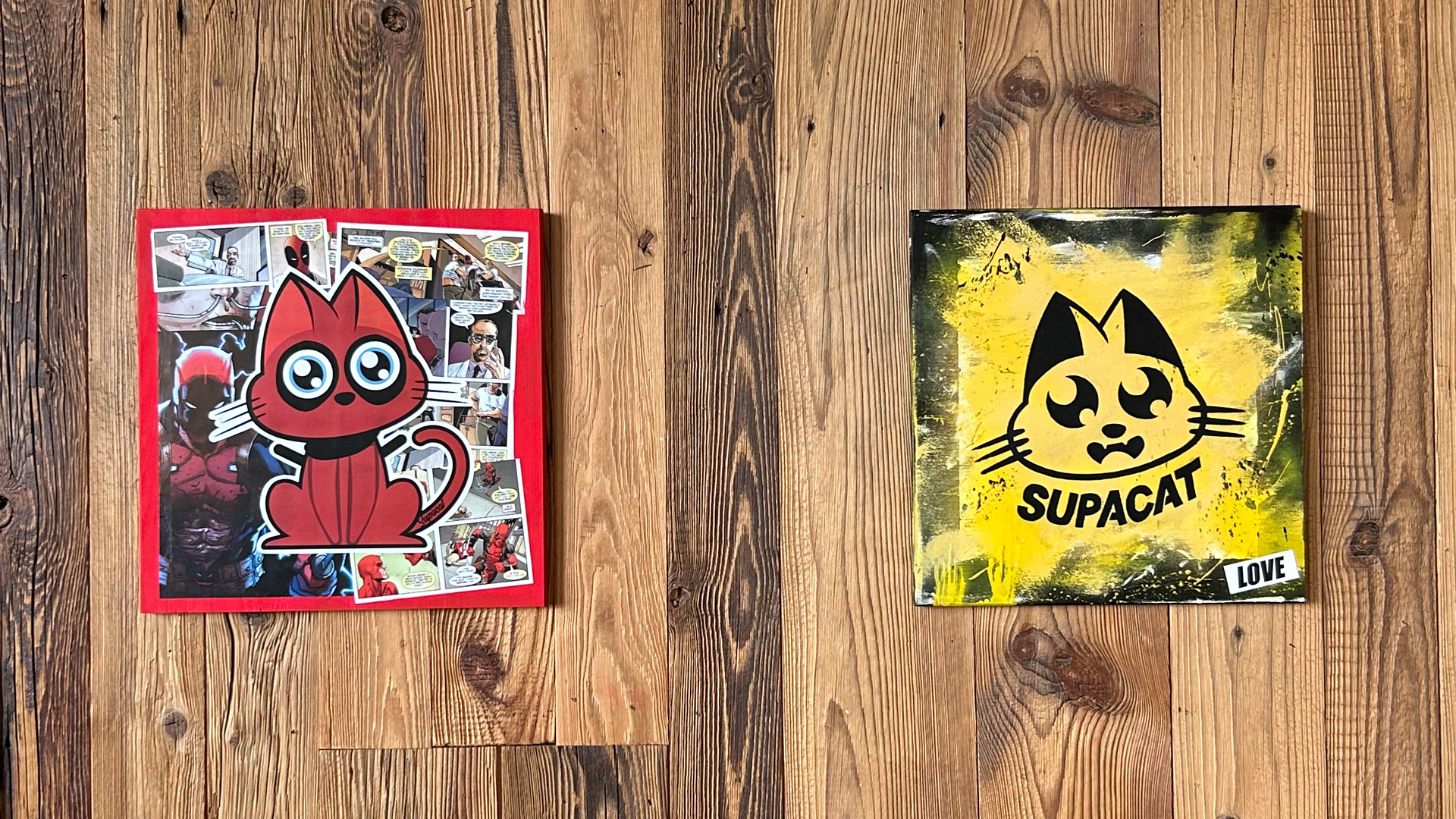Exposition Supacat Street Art au Bar le Cul Terreux à Strasbourg - Supacat Street Art